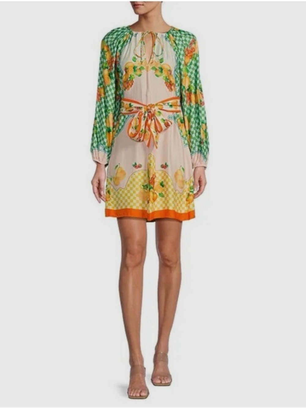 Antonio Melani Raffaella Fruit Print Resort Long Sleeve A-Line Mini Dress